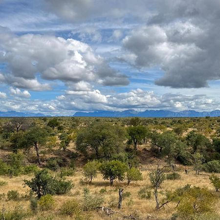 Sausage Tree Safari Camp Balule Game Reserve Bagian luar foto