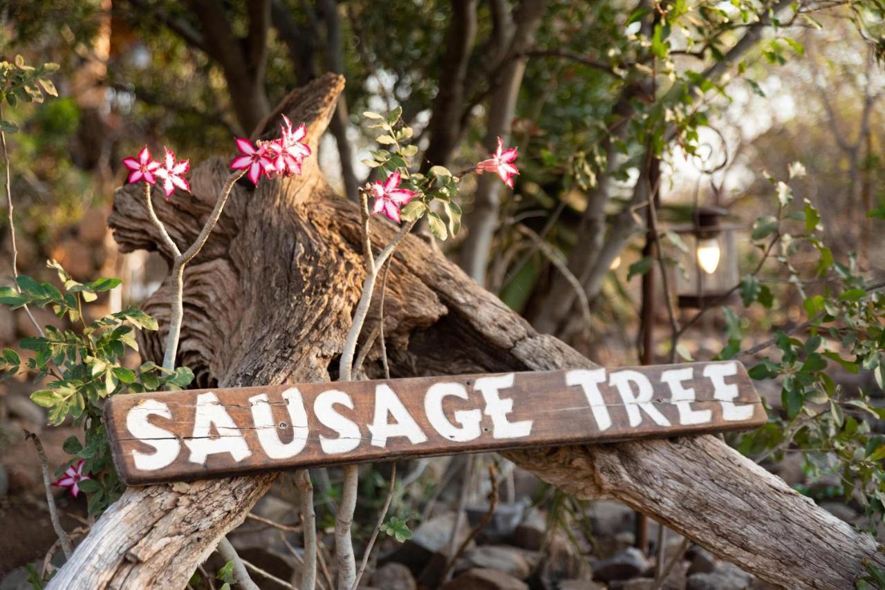 Sausage Tree Safari Camp Balule Game Reserve Bagian luar foto