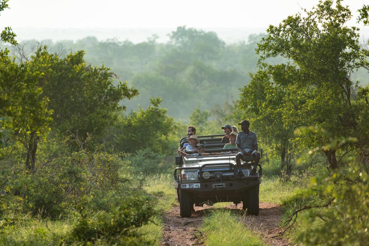 Sausage Tree Safari Camp Balule Game Reserve Bagian luar foto