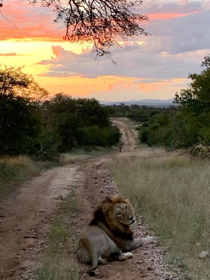 Sausage Tree Safari Camp Balule Game Reserve Bagian luar foto