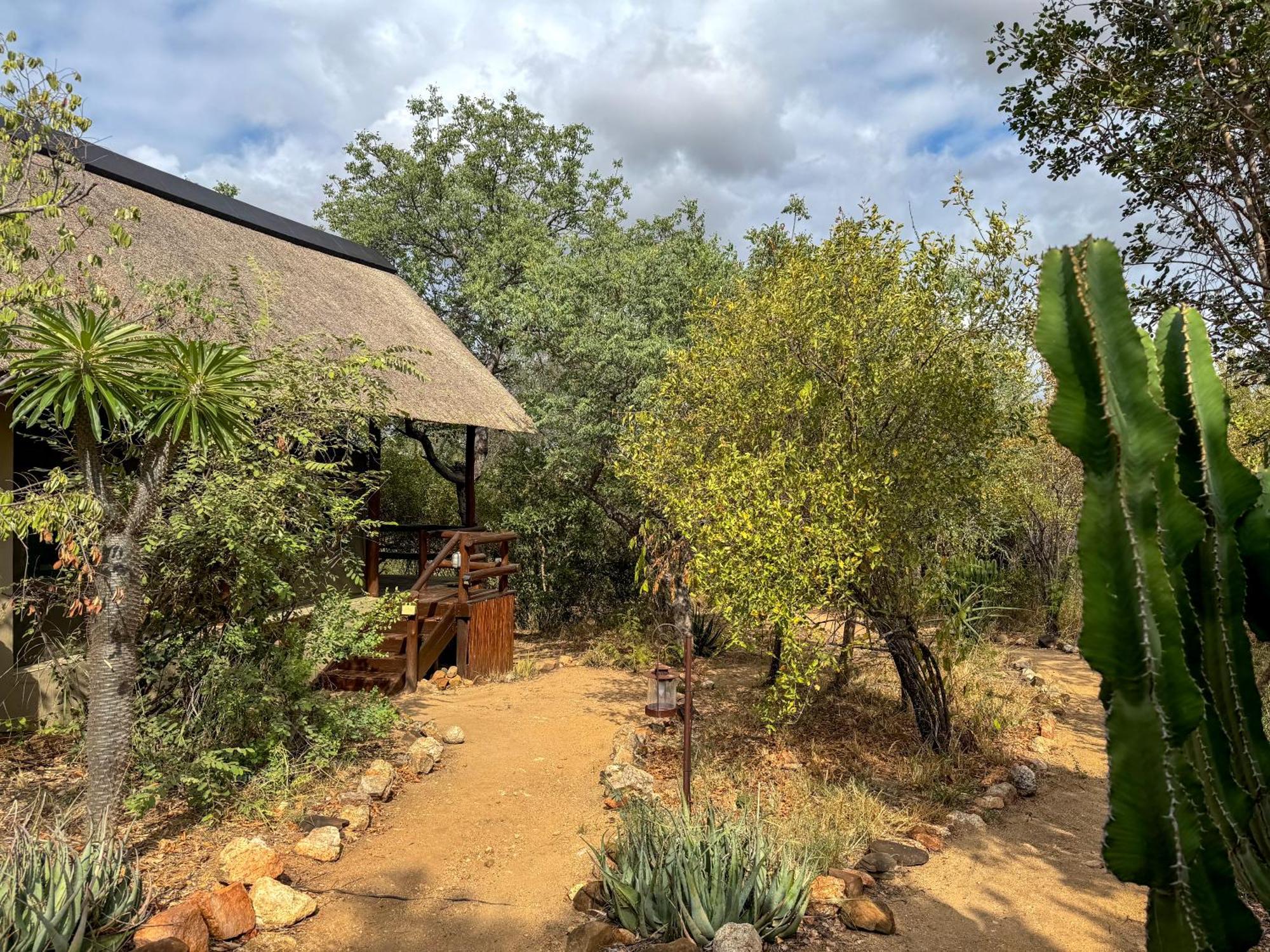 Sausage Tree Safari Camp Balule Game Reserve Bagian luar foto