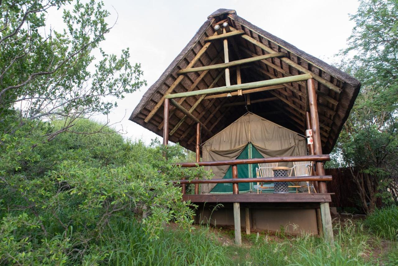 Sausage Tree Safari Camp Balule Game Reserve Bagian luar foto